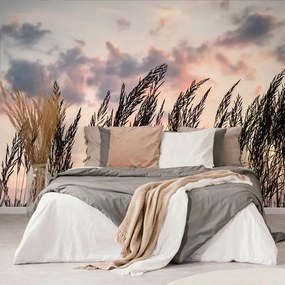 Carta da parati – Erba al tramonto