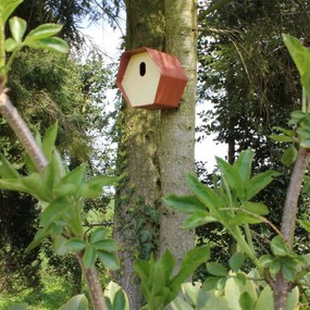 Casetta Per Uccelli Hive 2 19x23x20 Cm Foro Ovale Marrone /
