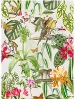 Coordonne Carta da parati Parrots - Perla
