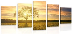 Quadri 5 pezzi – Albero solitario