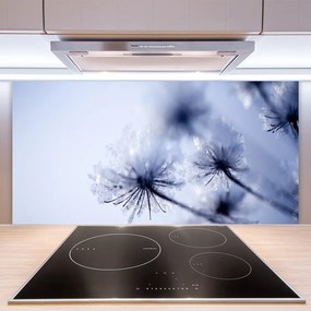Pannello cucina paraschizzi Pianta di tarassaco 100x50 cm