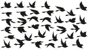 Adesivo Fanastick Birds in Flight - Ambiance