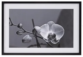 Tela Orchidea 65 x 2 x 95 cm Fiore