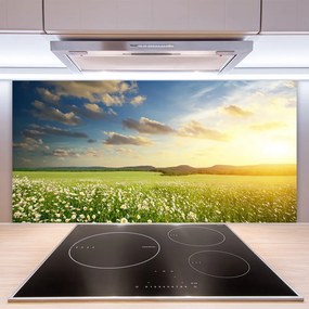 Pannello paraschizzi cucina Paesaggio di fiori di prato 100x50 cm