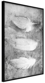 Poster  Delicate Feathers  Cornice Quadri Cornice nera, Larghezza x Altezza Home decor 40x60