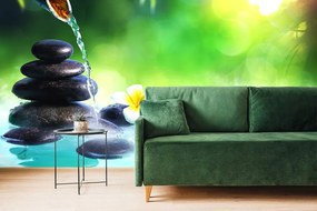 Carta da parati – Armonia nel giardino Zen