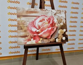 Stampa su tela – Rosa vintage rosa
