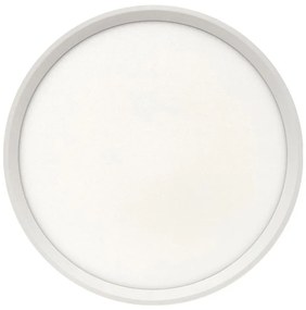 Plafoniera LED 24W/230V 3000/4000/6500K Ø 30 cm bianca