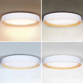 Brilagi - Lampada da soffitto dimmerabile LARIOS LED/72W/230V bianco Ø 59 cm + telecomando