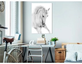 Quadro White Horse (1 Part) Vertical  Colore bianco e nero, Dimensioni e Misure 40x60