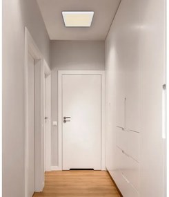 Globo 12380-24W - Plafoniera LED LASSE LED/24W/230V 3000/4000/6500K bianco