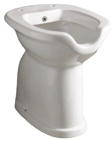 Vaso/Bidet Accessibile Con Erogatore Scarico a Parete Bianco Lucido