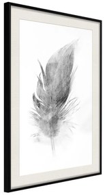 Poster  Lost Feather (Grey)  Cornice Quadri Cornice nera con pass-partout, Larghezza x Altezza Home decor 20x30