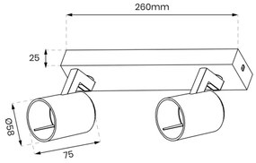 Faretto VOLF 2xGU10/10W/230V nero
