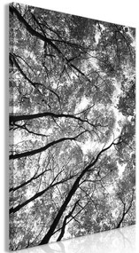 Quadro  High Trees (1 Part) Vertical  Larghezza x Altezza Home decor 40x60