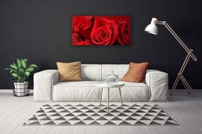 Quadro su tela Fiori di rose 100x50 cm