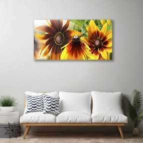 Quadro su tela I fiori della pianta 100x50 cm