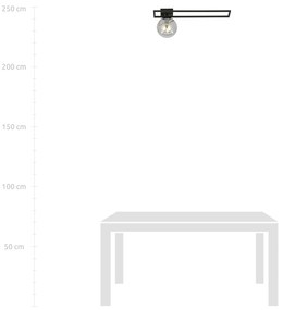Plafoniera Moderna 1 Luce Imago 1130/1C In Acciaio Nero Vetro Fumè