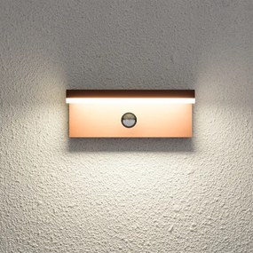 Brilagi-LED Applique da esterno con sensore TESSI LED/10W/230V, marrone, IP54