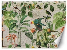 Carta Da Parati, Collage di pappagalli colorati nella giungla