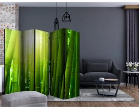 Paravento  Sun and bamboo II [Room Dividers]  Colore Verde, Dimensioni e Misure 225x172