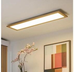 Brilagi - Plafoniera LED SLIMFRAME WOOD LED/58W/230V 124x34 cm marrone