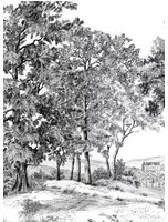 Isidore Leroy Carta da parati panoramica Domaniale - Panel A