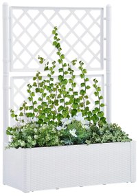 Letto Rialzato Da Giardino Con Graticcio E Irrigazione Bianco /