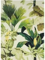 Manuel Canovas Carta da parati Salengro - Kaki