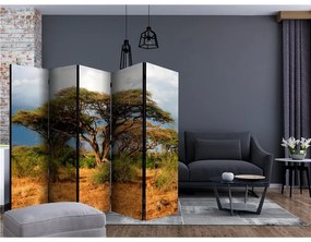 Paravento  Samburu National Reserve, Kenya II [Room Dividers]  Colore ---, Dimensioni e Misure 225x172