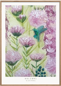 Stampa digitale incorniciata Kolibri