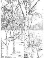 Isidore Leroy Carta da parati panoramica Nunavut Grisaille - Panel A