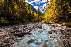 Carta da parati – Paesaggio montano pittoresco