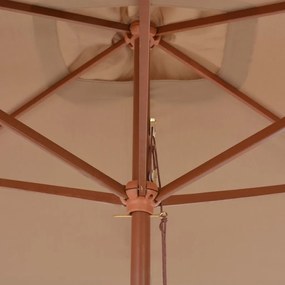 Ombrellone da Esterni con Palo in Legno 200x300 cm Grigio Talpa