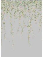 Cole & Son Carta da parati Hummingbirds Flora - Rose/ Olive on Grey