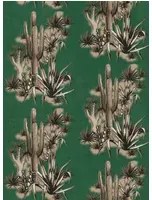 Coordonne Carta da parati Grand Canyon - Green