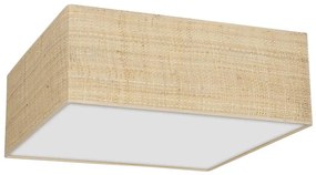 Plafoniera MARSHALL 2xE27/60W/230V