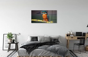 Quadro acrilico Uccello colorato su un ramo 100x50 cm