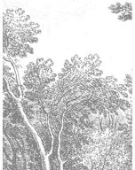 KEK Amsterdam Carta da parati panoramica Engraved Landscapes 3 - BW - Breite 3.896m