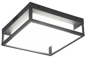 Applique da esterno a LED (altezza 10 cm) Witham - Trio