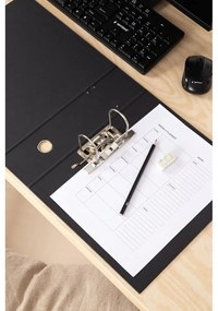 Organizzatore di cartone per documenti Archie - Bigso Box of Sweden