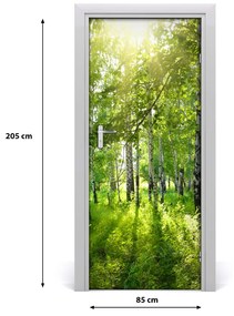Adesivo per porta Foresta di betulla 85x205 cm