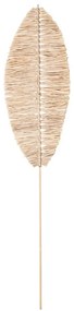 Pianta essiccata (altezza 92 cm) Emia - Bloomingville