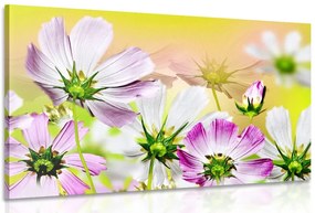 Quadro su tela – Fiori estivi