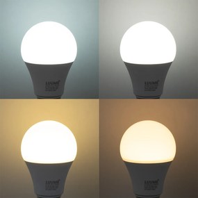 Set di 5 Lampadine LED dimmerabili E27 A60 Opal 9W 806lm 2700-6500K