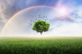 Carta da parati – Albero solitario sul prato