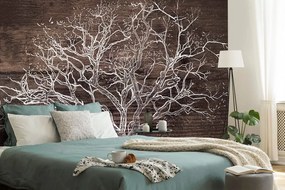 Carta da parati – Corona dell'Albero su Sfondo di Legno