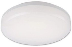 Top Lampada Leon K - Plafoniera LED da esterno LED/15W/230V IP44