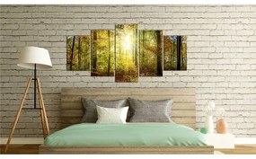 Quadro Mystical Forest  Colore Marrone, Dimensioni e Misure 100x50