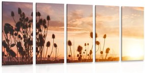 Quadri 5 pezzi – Steli d'erba all'alba